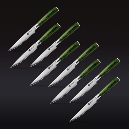 Steak Knife & Bistecca Plate Set, 16-pc (Green)