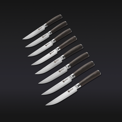 Steak Knife & Bistecca Plate Set, 16-pc (Espresso)